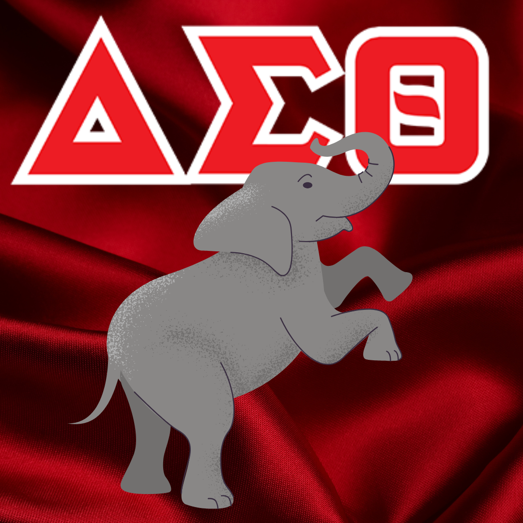 Delta Sigma Theta Sorority